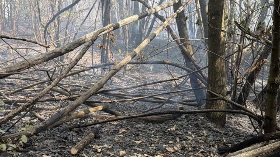 Arona, circoscritto e spento incendio in zona San Carlo